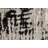 Devia Abstract Indoor Rug-864247110