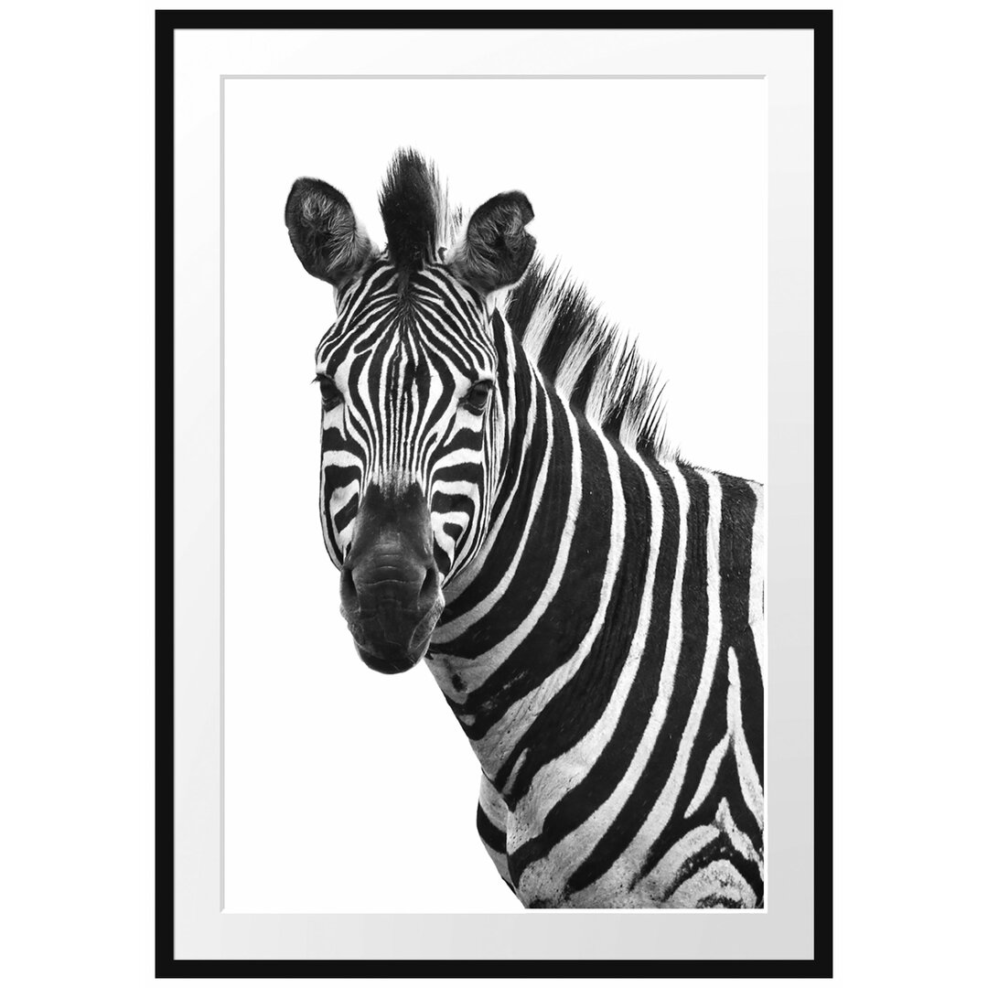 Gerahmtes Poster Zebra im Portrait