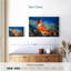 Renard roux Brampt-107844024