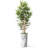 Artificial Tree in Black White Wood Tree Rings Pattern Planter Fake Bamboo Silk Tree-103684958