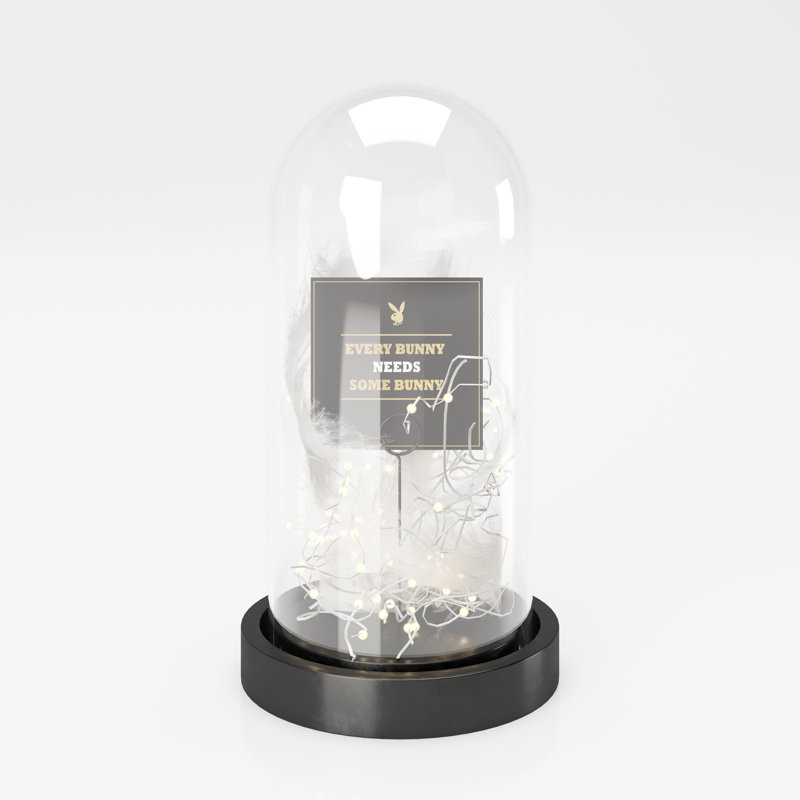 Ann Text & Numbers Cloche Or Water Globe, 27cm H x 12cm W x 12cm D