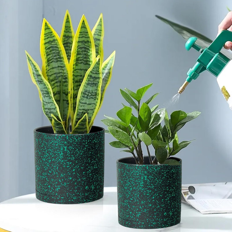 Paquet de 3 pots de plantes (8/7/6 pouces)