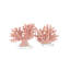 Feu corail grand