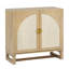 Rattan Arched Door 1-Piece Storage Cabinet