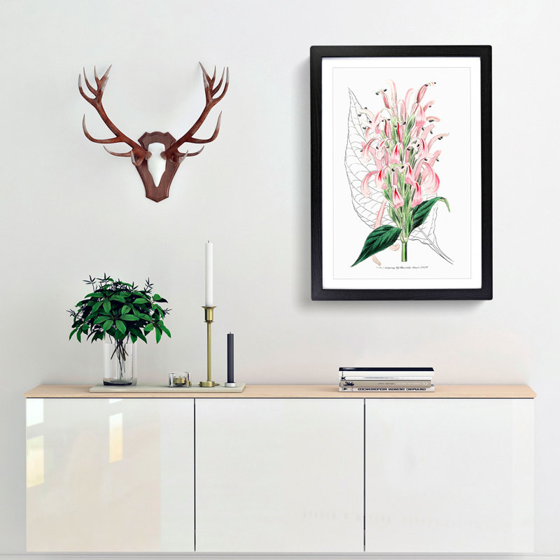 Pink Justicia Flowers - Framed Print, 36cm H x 27cm W x 2cm D, Black Framed