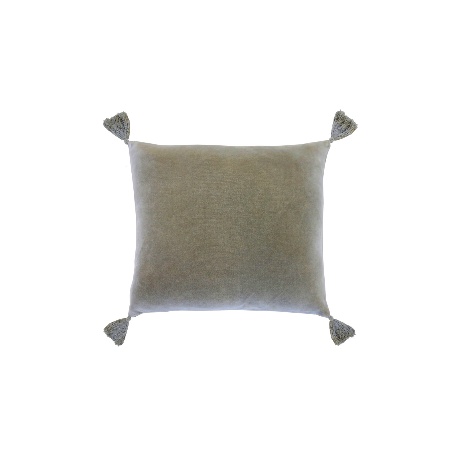 Bianca Velvet Pillow Cover & Insert, Sage, Square 20", Feather