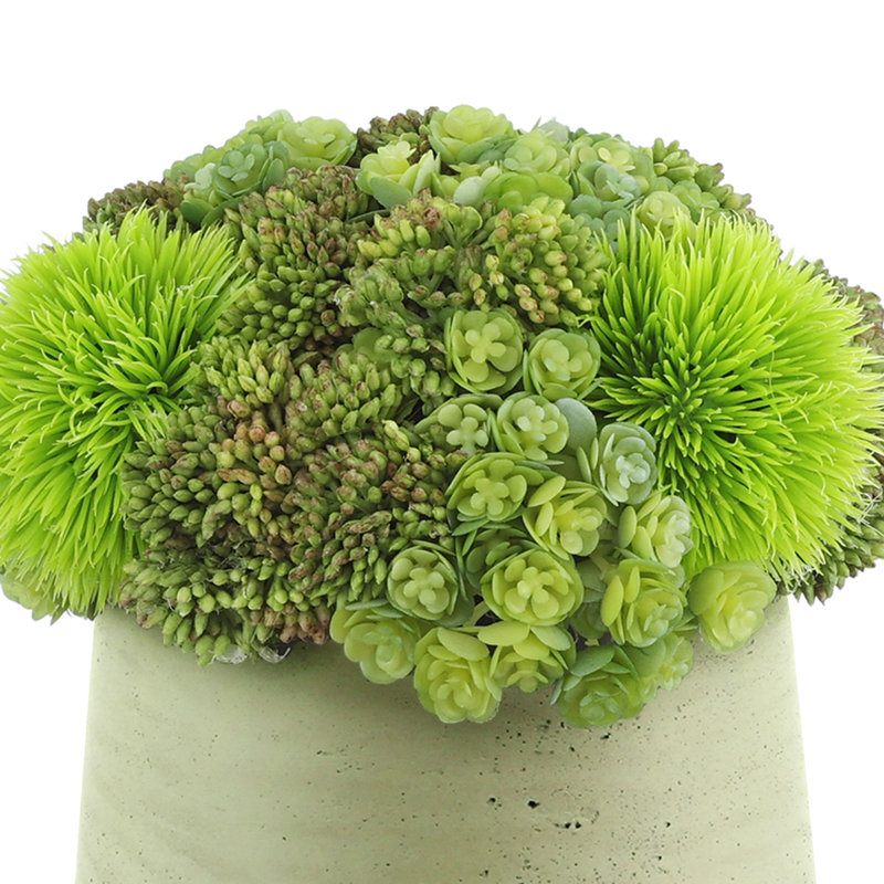 Rizal Faux Succulent in Fiberstone Pot, Beige