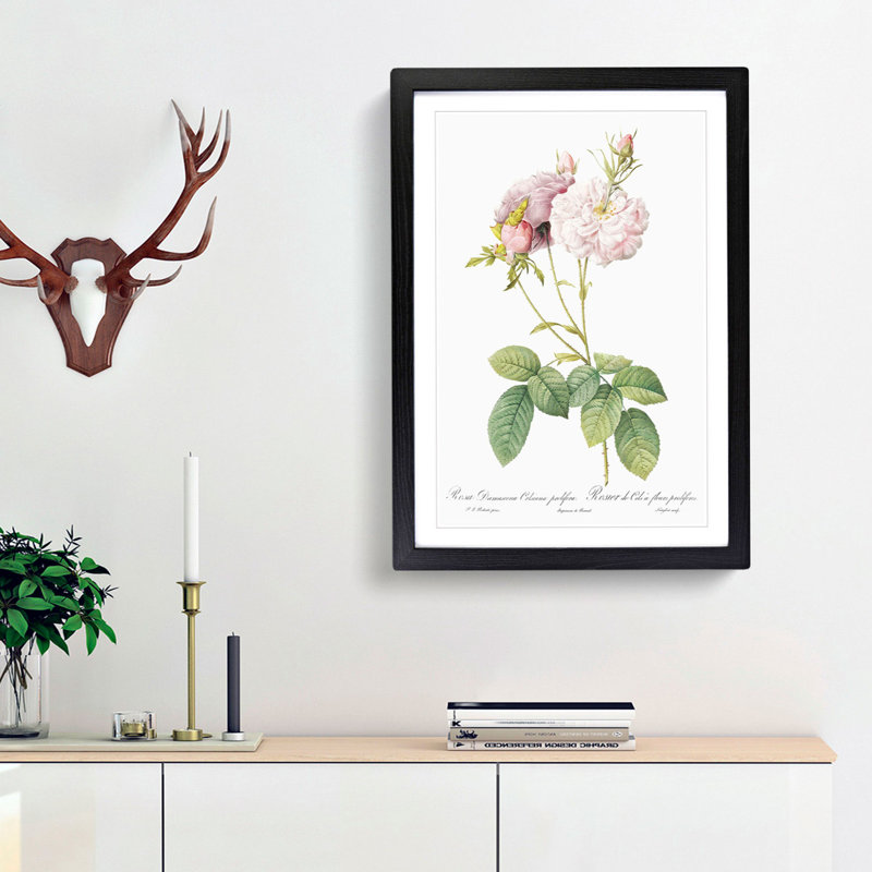 Damask Rose in Pink by Pierre-Joseph Redoute - Picture Frame Painting Print, 65cm H x 48cm W x 2cm D, Black Framed