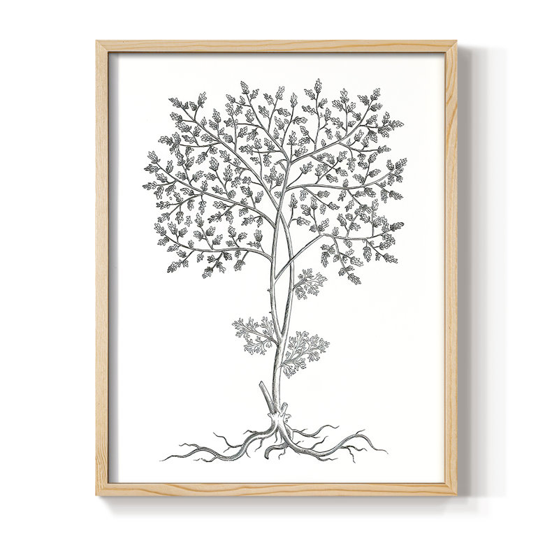 «B&W Plant Specule IV», reproduction encadrée - bois massif, H 11 po x l 9 po