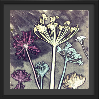 Gillian Arnold - Single Picture Frame Print