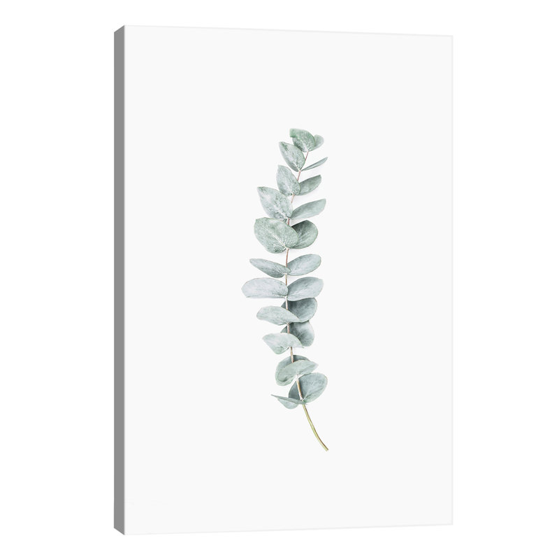 Eucalyptus I - Wrapped Canvas Print, 66.04 cm H x 45.72 cm W x 3.175 cm D