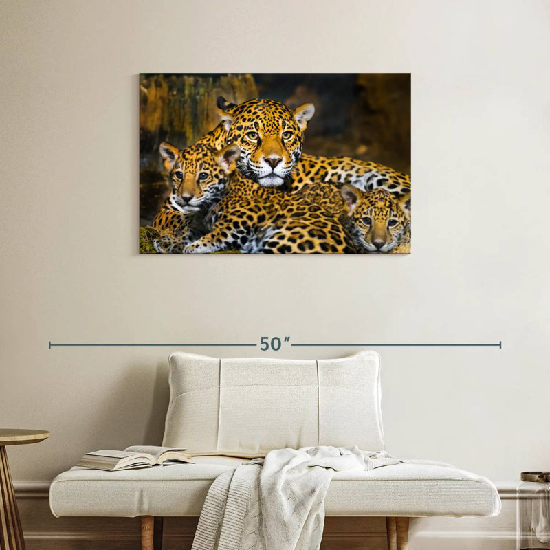 Bébé jaguar Brampt, H 24 po x l 36 po