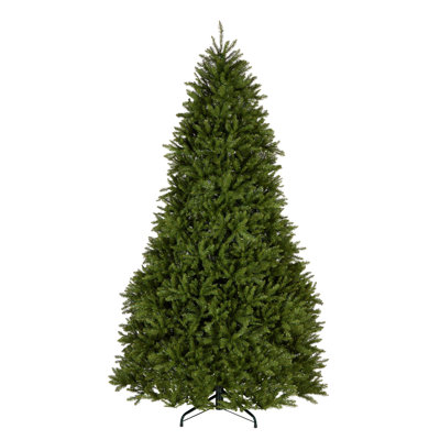 Dunhill Fir Fir Tree