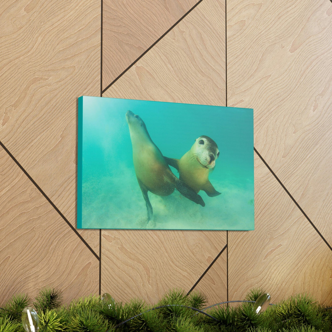 No Frame Print on Canvas