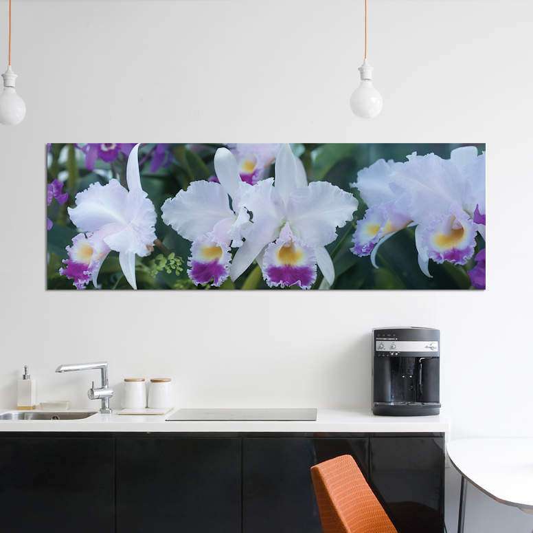 «Close-Up of Orchid Flowers I», reproduction de photo sur toile, H 12 po x l 36 po x P 1,5 po, Toile tendue