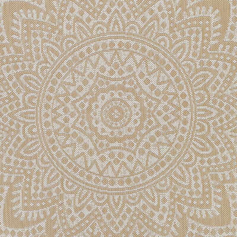 Acel Oriental Indoor / Outdoor Rug, Rectangle 7'10" x 10'