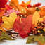 AMBER HARVEST - 6ft x 10" Garland with Warm White LED Microbulbs 