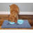 Albertina Non-Slip Outdoor Doormat-24281227