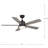 52'' Ceiling Fan with LED Lights-343565304