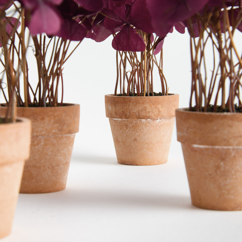 Ensemble de 4 mini-pots de 7 po Barringer
