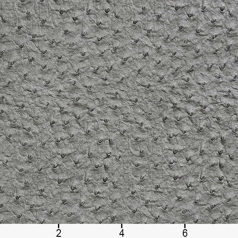 Autruche, Gris