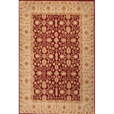 Tapis unique en laine noué à la main de 6 pi x 9 pi rouge / brun / beige