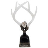 Antler Handcrafted Glass Decorative Bottles