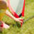 Wakeman 2-Pack 6’ x 3.5’ Pop Up Soccer Nets and 8 Cones and Carry Bag - Soccer Training Equipment