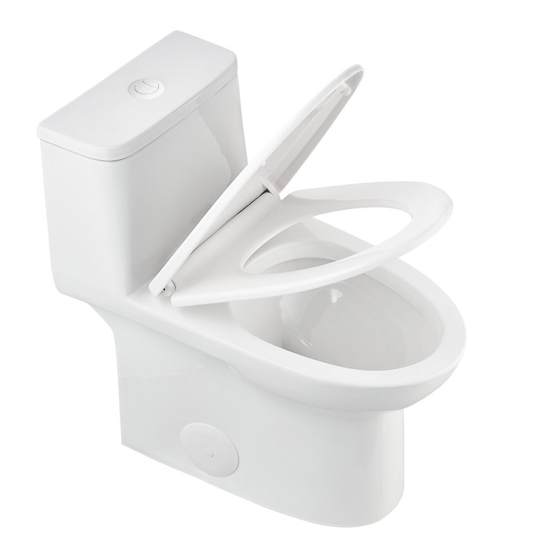 Toilette allongée monobloc DeerValley Ursa, Blanc / Chrome