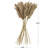 Pampas Grass Arrangement-1896627674-1879939194