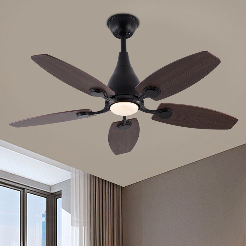 5 - Blade 42Inch Propeller Ceiling Fan with Remote Control and Light Kit Included, Black