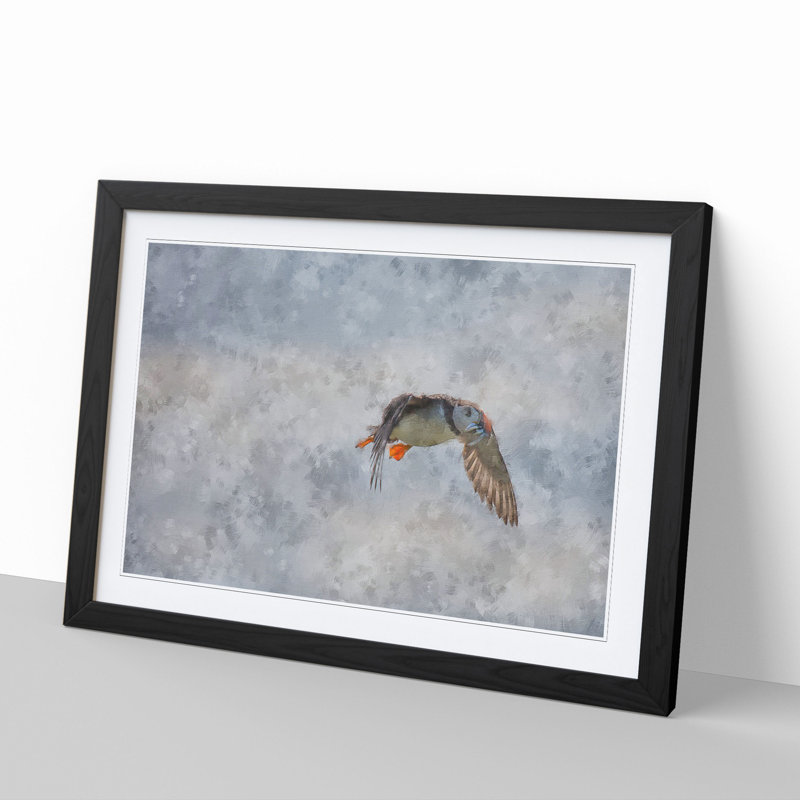 Atlantic Puffin Birds Vol.5 - Picture Frame Graphic Art, 48cm H x 65cm W x 2cm D, Black Framed