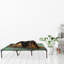 Polyester Pet Bed-499350841-499350840