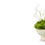 Plato RealTouch Calla Lilly Arrangement