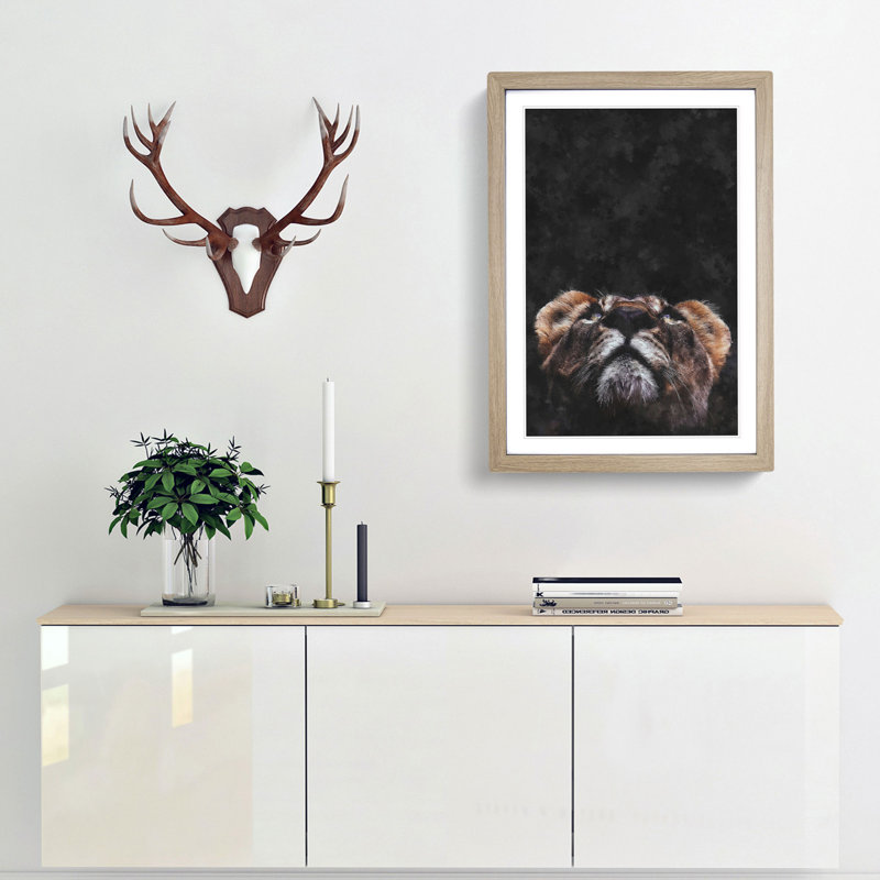Lion Looking Upwards - Framed Print, Oak Framed, 87cm H x 62cm W x 2cm D