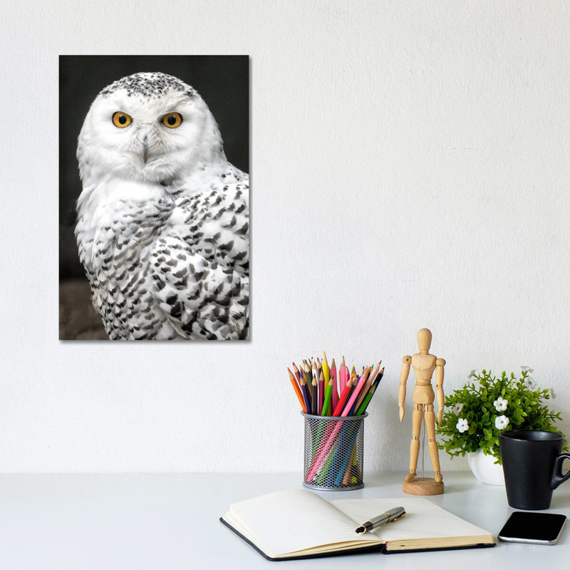 Snowey by David Gardiner - Wrapped Canvas Print, 30.48cm H x  20.32cm W