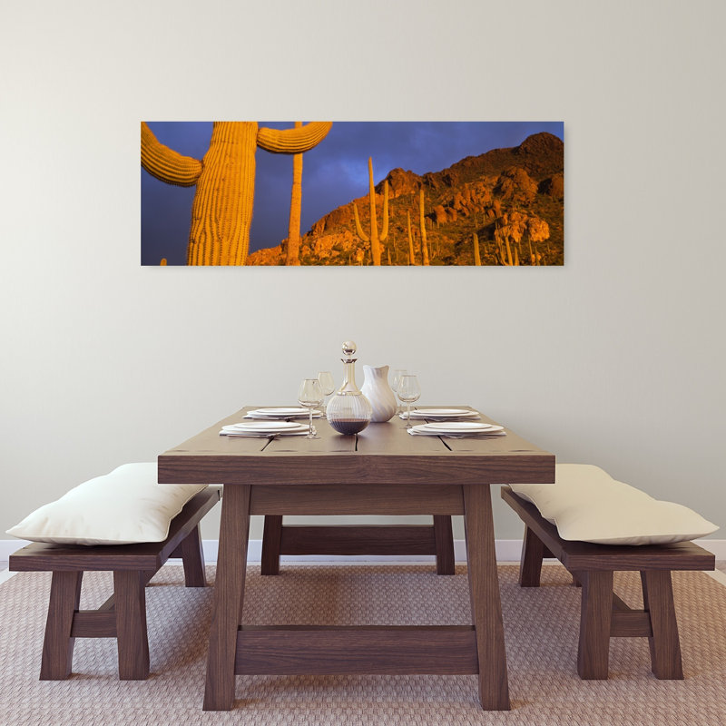 Cactus Saguaro, Tucson, Arizona, États-Unis, H 48 po x l 16 po