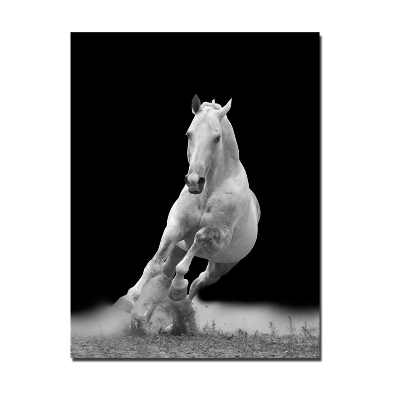Horse Trot Print, 20" H x 16" W x 1.5" D