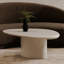 Table basse Modern Freeform Shape