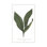 Green Trace 6 Print by Studio L57 Nouvelle