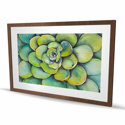 Reproduction de plante grasse aquarelle - décor encadré mat