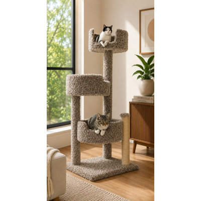 Cat Perch