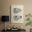 Coquilles bivalves IV - Cavas enveloppés de galerie-357069988