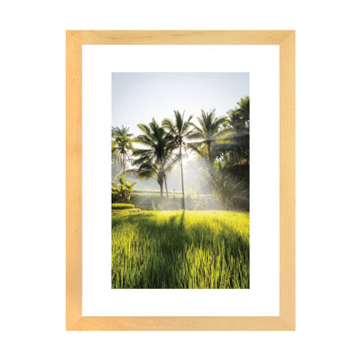 " Bali II " by Daisuke Uematsu