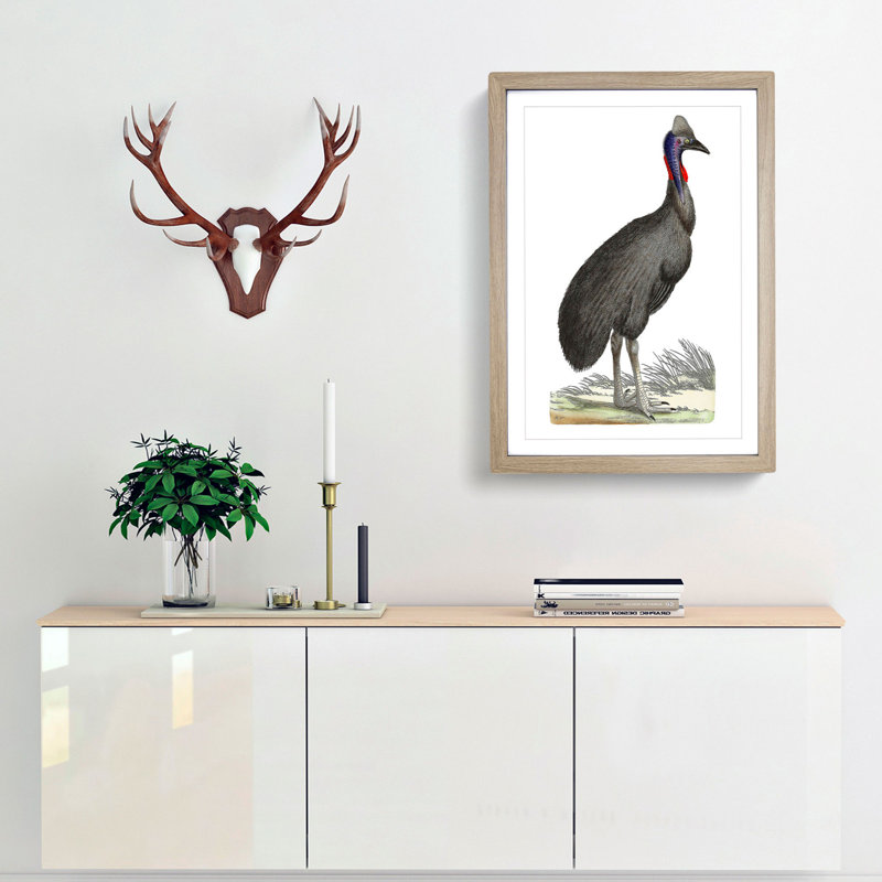 Black Cassowary Bird by George Shaw - Picture Frame Painting, Oak, 50cm H x 35cm W x 2cm D