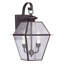 Lanterne murale d'extérieur 9 pouces 2 lumières, verre biseauté transparent, luminaire suspendu-101230746