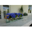 Hydrangeas and Driftwood in Vase