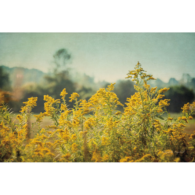 Blissful Country IV by Elizabeth Urquhart - Photograph, 61cm H x 91cm W, Black Floater Framed