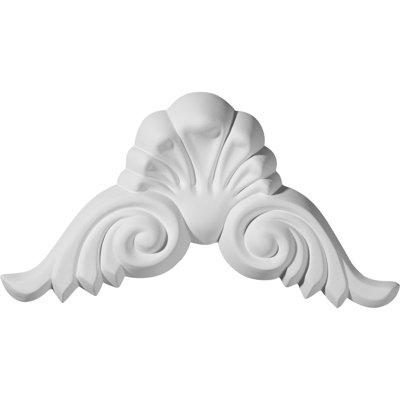Volute 4 h 4 po x l 9 po x p 1 1/8 po onlay Shell