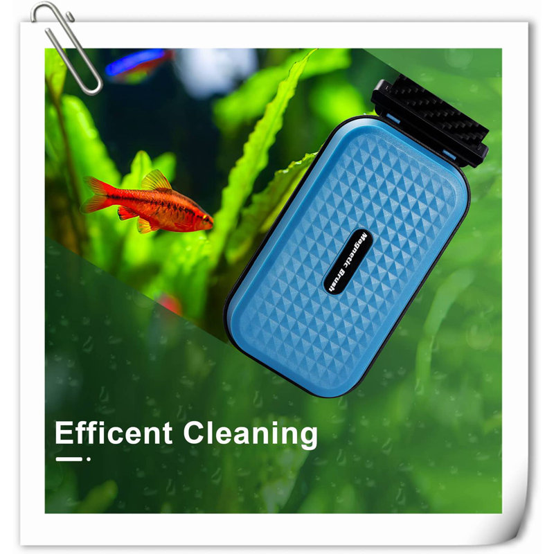 Brosse à vitre magnétique pour aquarium, H 2,05 po x l 2,05 po x P 4,02 po